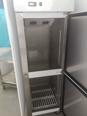 Stainless Steel Sliding Double Door Freezer