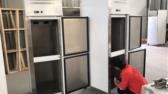 Stainless Steel Sliding Double Door Freezer