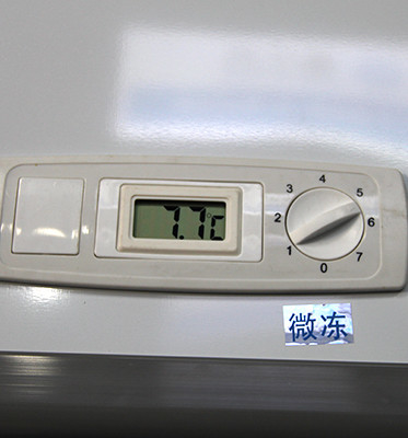 Electric 1200L Glass Door Chest Freezer Digital Control