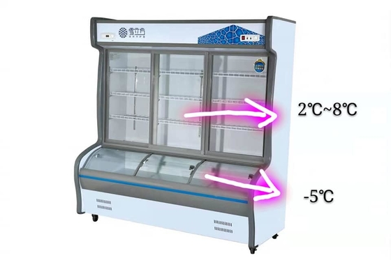 Electric 1200L Glass Door Chest Freezer Digital Control