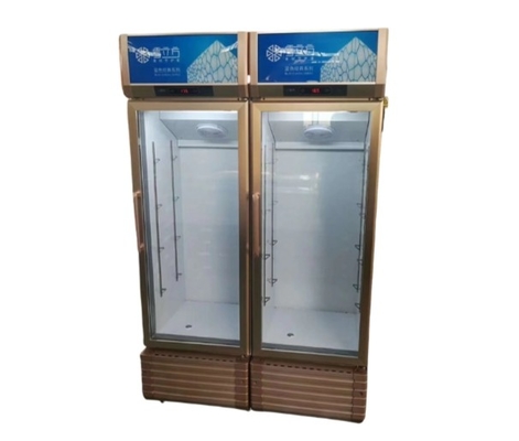 Double door refrigerator commercial freezer fresh drink freezer vertical beer freezer