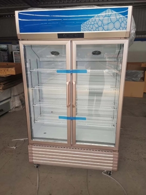 Double door refrigerator commercial freezer fresh drink freezer vertical beer freezer