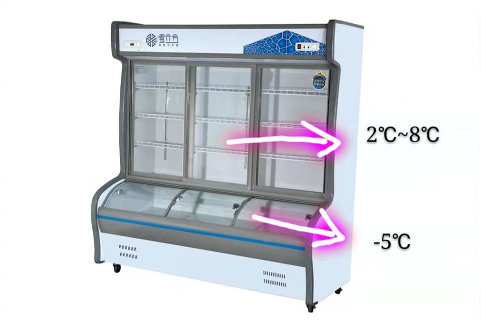 Electric 1200L Glass Door Chest Freezer Digital Control